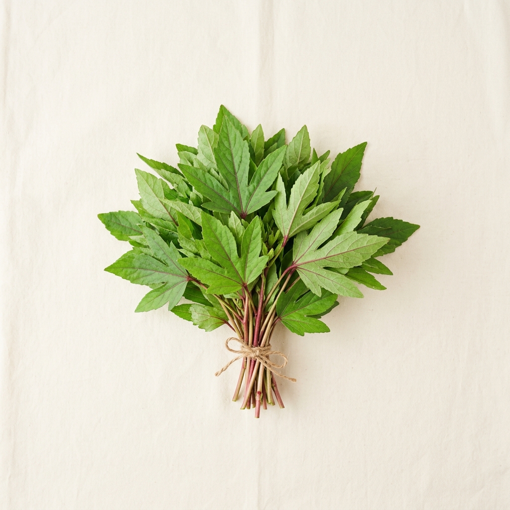 Gongura Pickles
